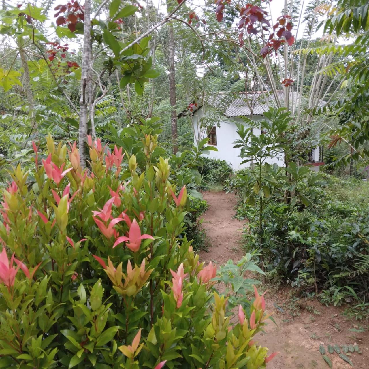 Rivinu Holiday Resort Ела Екстериор снимка